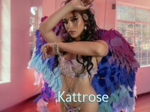 Kattrose