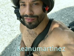 Keanumartinez