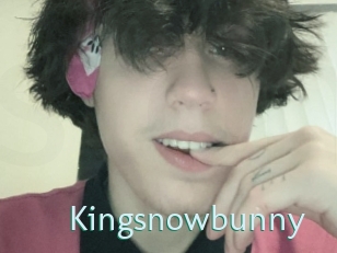 Kingsnowbunny