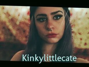 Kinkylittlecate