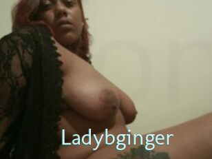 Ladybginger