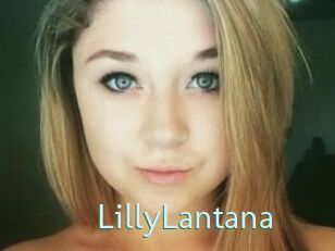 LillyLantana