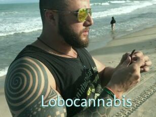 Lobocannabis