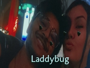 Laddybug