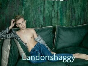 Landonshaggy