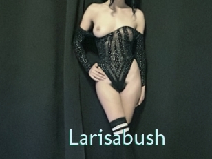 Larisabush