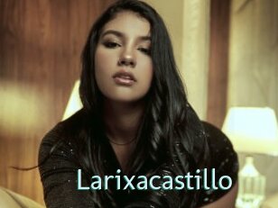 Larixacastillo