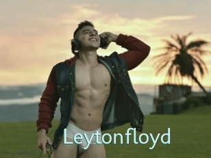 Leytonfloyd