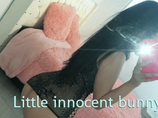 Little_innocent_bunny