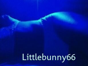 Littlebunny66