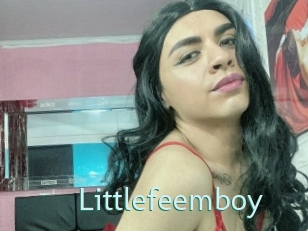 Littlefeemboy