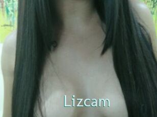 Lizcam