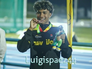 Luigispaez44