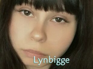 Lynbigge