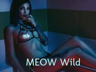 MEOW_Wild