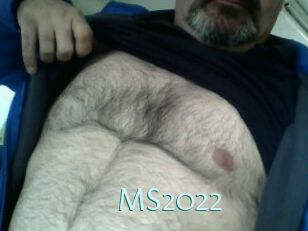 MS2022