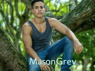 MasonGrey Straponles