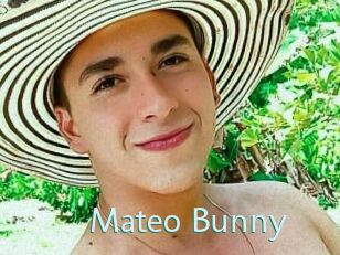 Mateo_Bunny