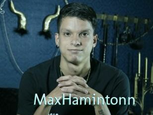 MaxHamintonn