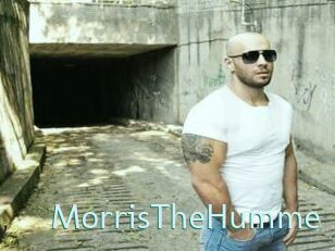 MorrisTheHumme Straponles