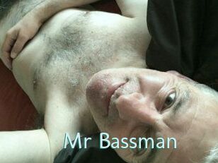 Mr_Bassman Straponles