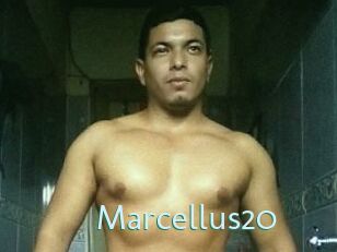 Marcellus20