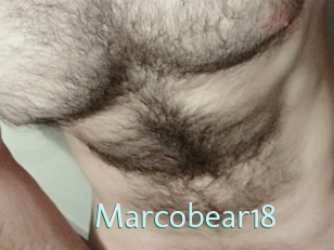 Marcobear18