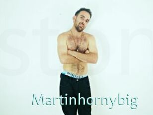 Martinhornybig