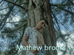 Mathew_brooks