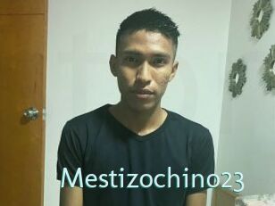 Mestizochino23