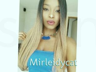 Mirleidycat
