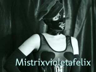 Mistrixvioletafelix