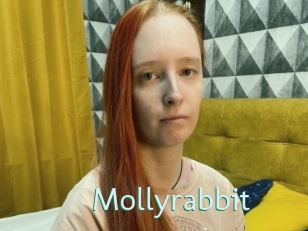 Mollyrabbit