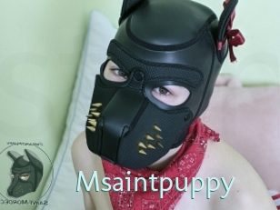 msaintpuppy Straponles