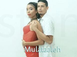 Mulataaleh