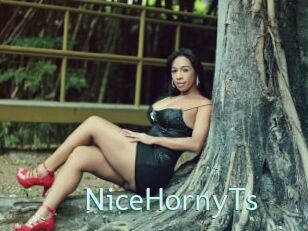 NiceHornyTs