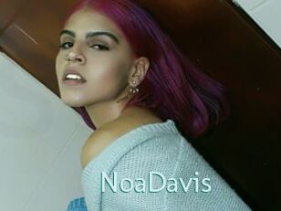 NoaDavis