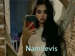 Namilevis