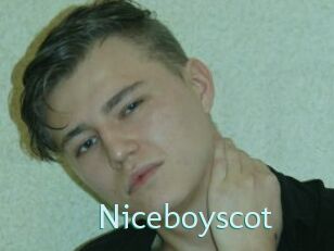 Niceboyscot