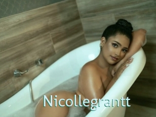 nicollegrantt Straponles