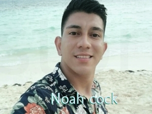 Noah_cock