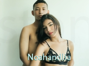 Noahandlia