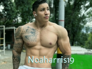 Noaharris19