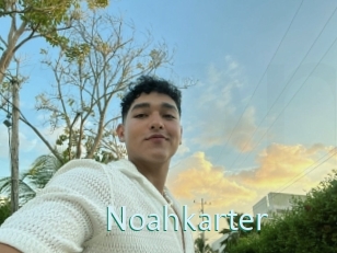 Noahkarter