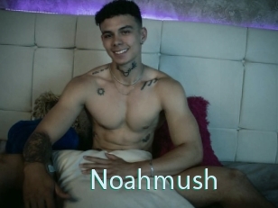 Noahmush