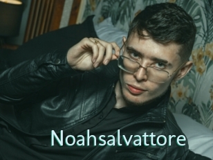 Noahsalvattore