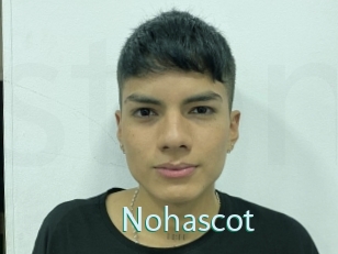 Nohascot