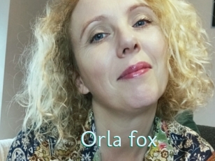 Orla_fox