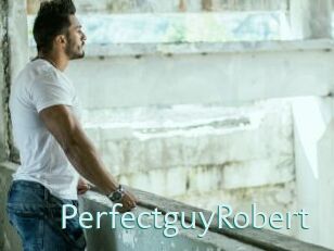 PerfectguyRobert
