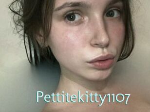 Pettitekitty1107